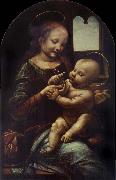 Madonna with a Flower LEONARDO da Vinci